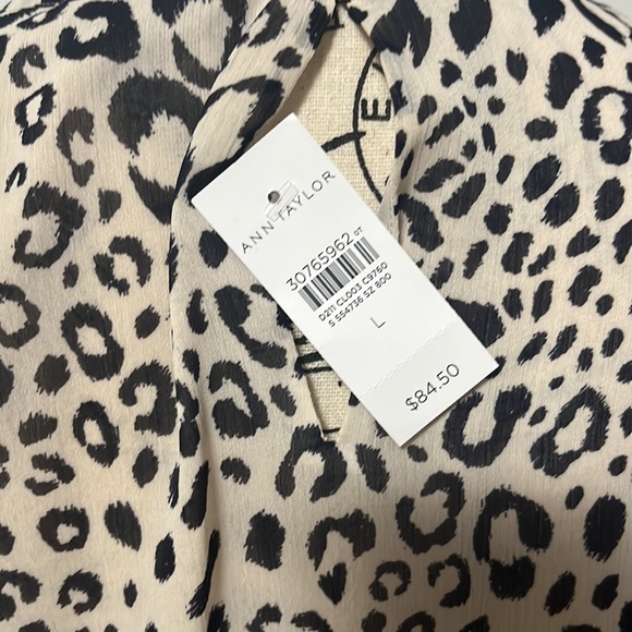 NWT Ann Taylor Ruffle Sleeve Cinched Hem Top - Picture 4 of 8